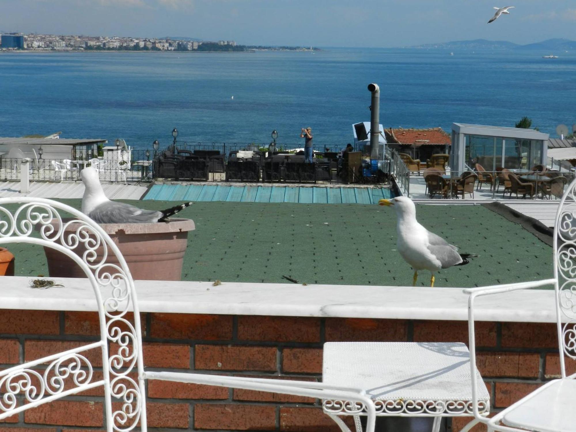 Berk Guest House - Grandma'S House Isztambul Kültér fotó
